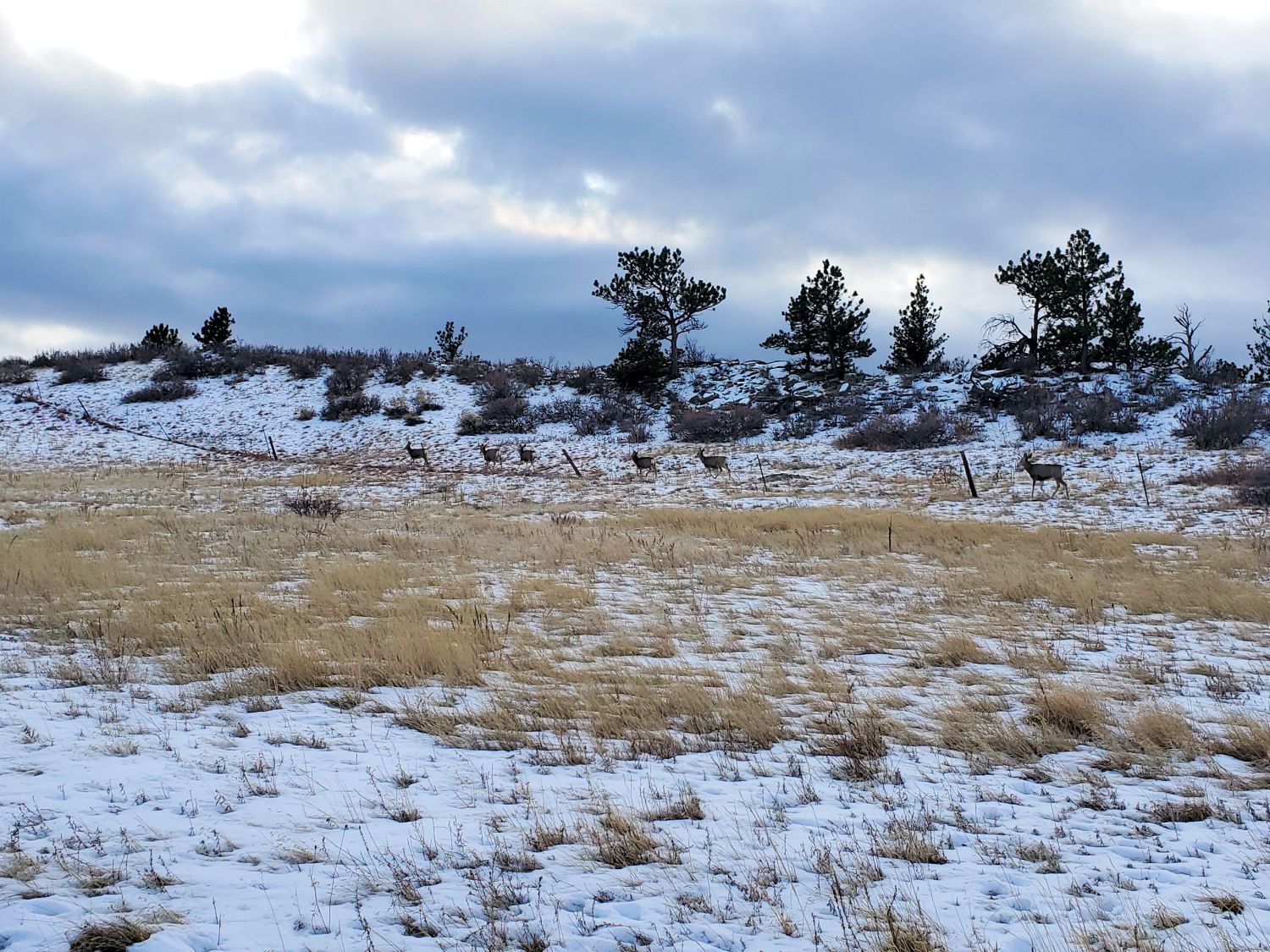 Horsetooth 